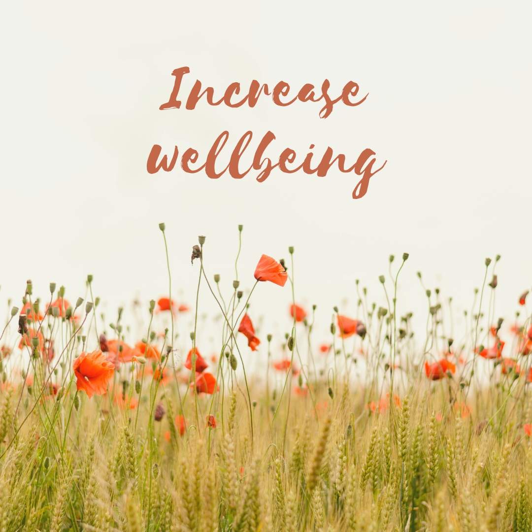 increase wellbeing